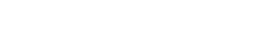 Secureye